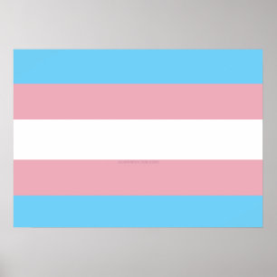 SlipperyJoe's Transgender-Stolzflagge Sichtbarkeit Poster
