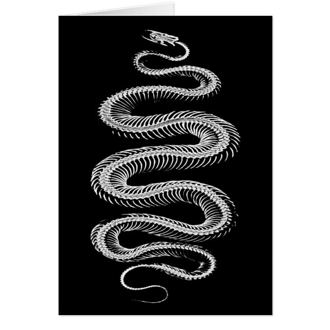 Slithering Snake Skeleton (Vorne)