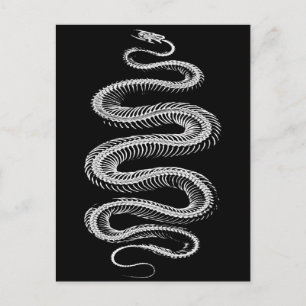 Slithering Snake Skeleton Postkarte
