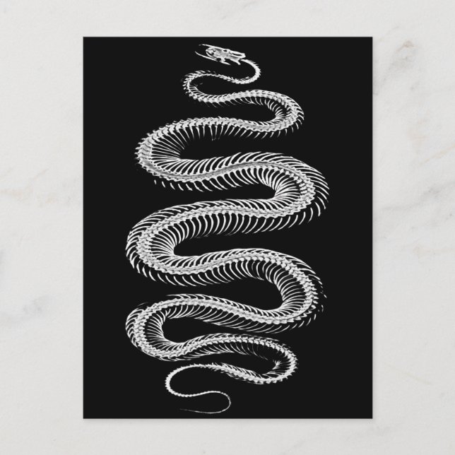 Slithering Snake Skeleton Postkarte (Vorderseite)