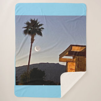 Slivered Moon 🌙 And Palm Tree 🌴  Sherpadecke