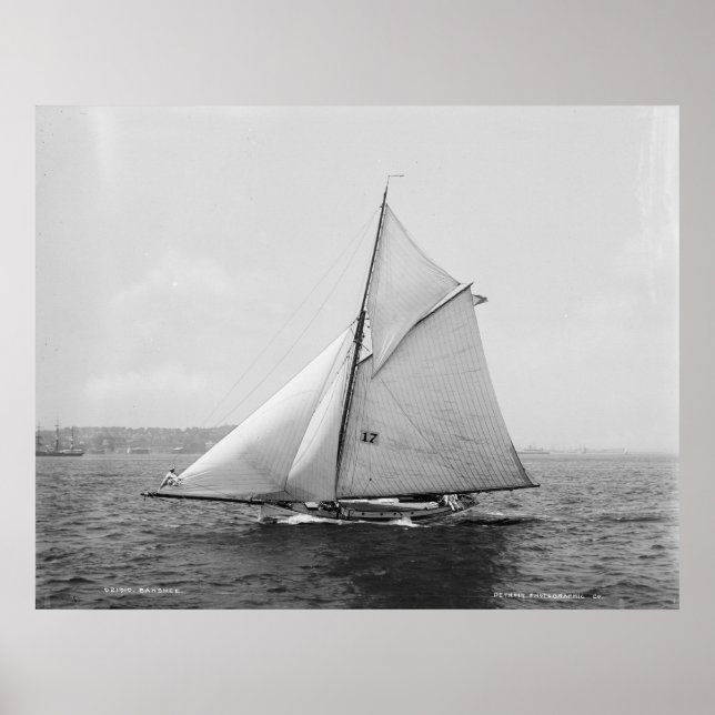 Sloop Banshee Poster (Vorne)