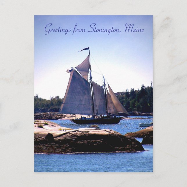 Sloop im Hafen Stonington Postkarte (Vorderseite)