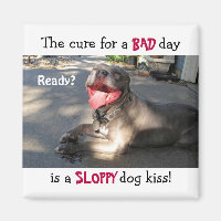 Sloppy Dog Kiss Magnet