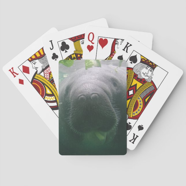 Sloppy Manatee Bicycle Playing Cards Spielkarten (Rückseite)