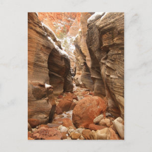 Slot Canyon im Zion-Nationalpark Postkarte