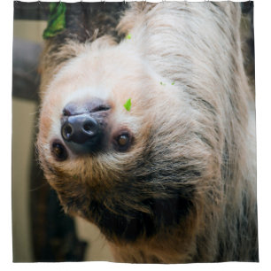 Sloth 001 duschvorhang
