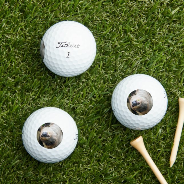 Sloth 001 golfball (Insitu Gras)
