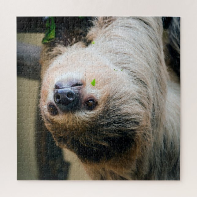 Sloth 001 puzzle (Vertikal)