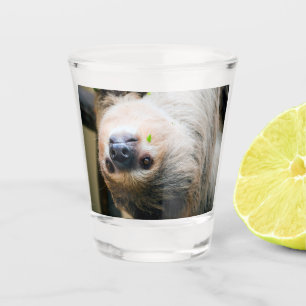 Sloth 001 schnapsglas