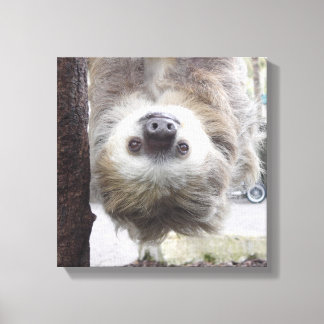 Sloth 12" x 12" Canvas Print Leinwanddruck
