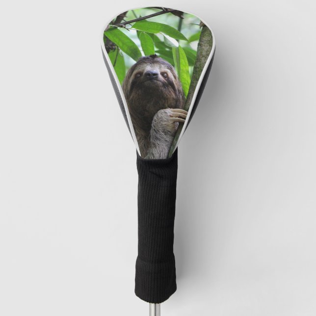 Sloth_2019002 Golf Headcover (Vorderseite)