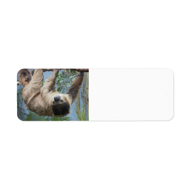Sloth anpassbare Adressleisten (Vorne)