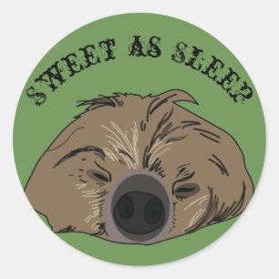 Sloth Art Sticker