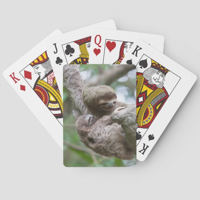 Sloth Baby mit Mutter, die von einem Baum hängt Spielkarten (Rückseite)