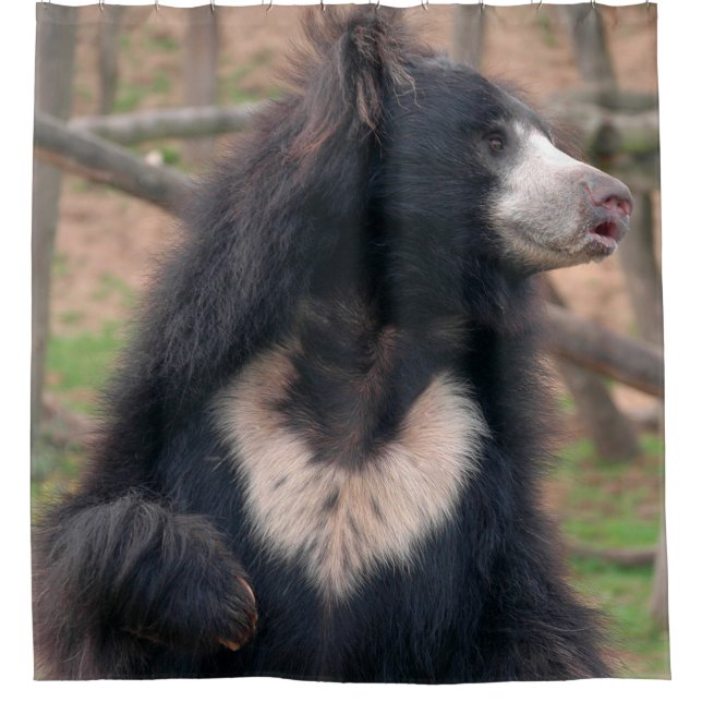 Sloth Bear Duschvorhang (Vorderseite)
