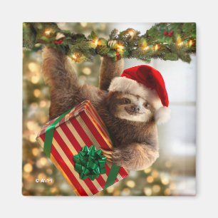 Sloth Bearing Geschenke Magnet