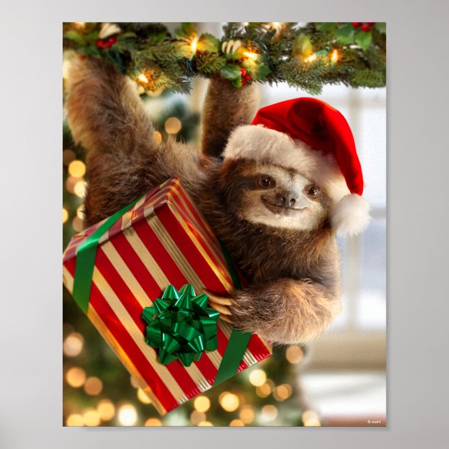 Sloth Bearing Geschenke Poster (Vorne)