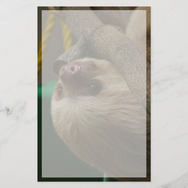 Sloth Briefpapier (Vorderseite)