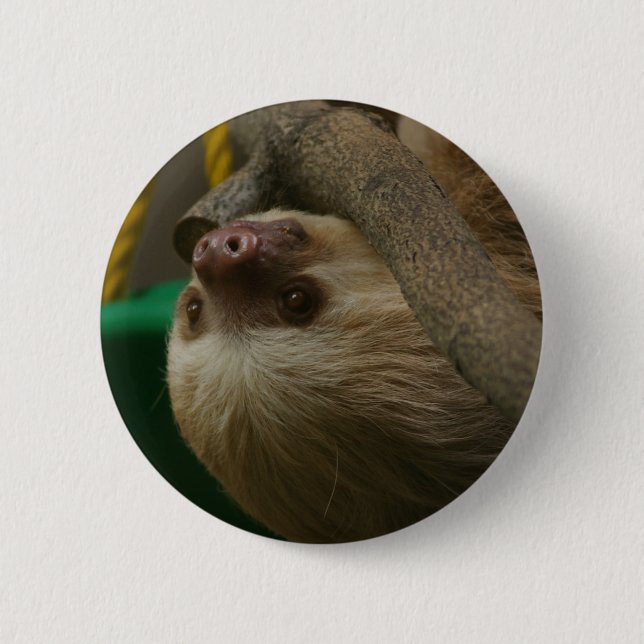 Sloth Button (Vorderseite)
