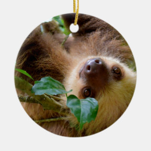 Sloth & Capybara Keramik Ornament
