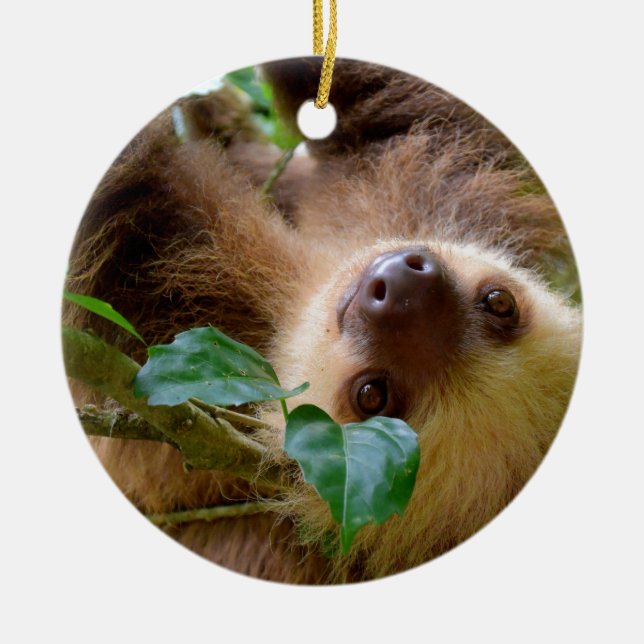 Sloth & Capybara Keramik Ornament (Vorne)