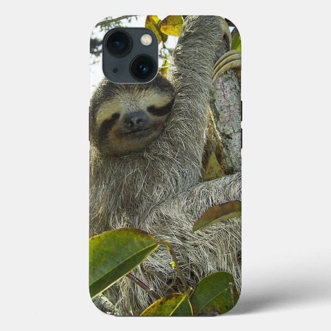 Sloth Case-Mate iPhone Hülle (Rückseite)