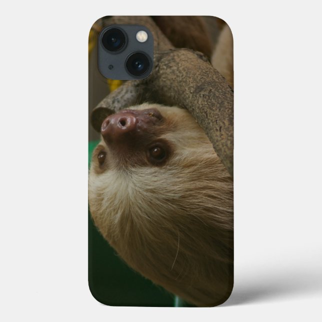 Sloth Case-Mate iPhone Hülle (Rückseite)