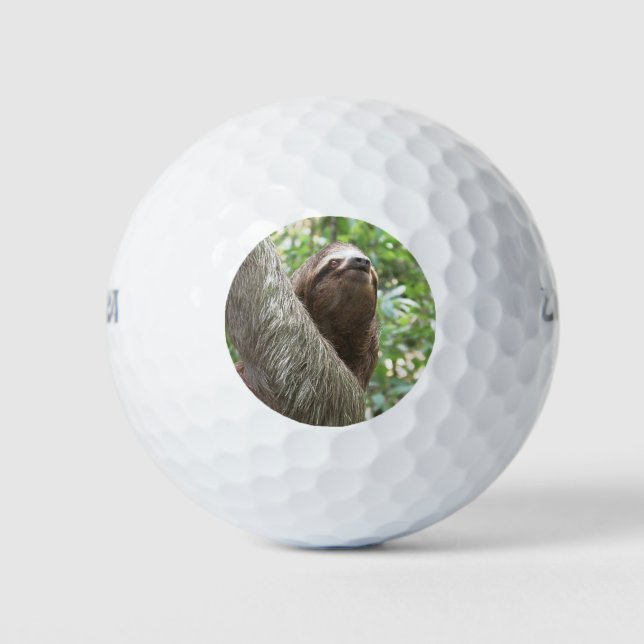 Sloth Climbing Golfball (Vorderseite)