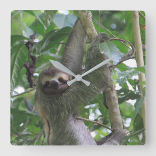 Sloth Clock Quadratische Wanduhr