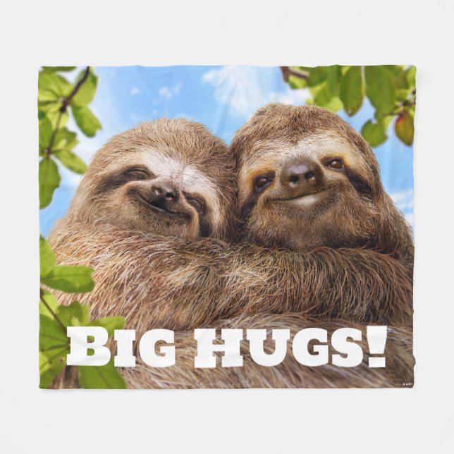 Sloth Couple Fleecedecke (Vorderseite (Horizontal))