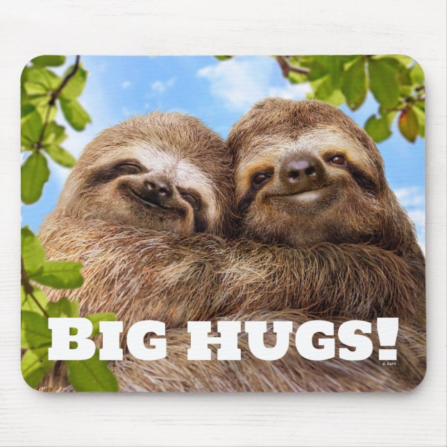 Sloth Couple Mousepad (Vorne)