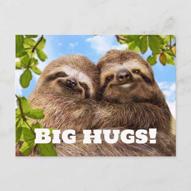 Sloth Couple Postkarte (Vorderseite)