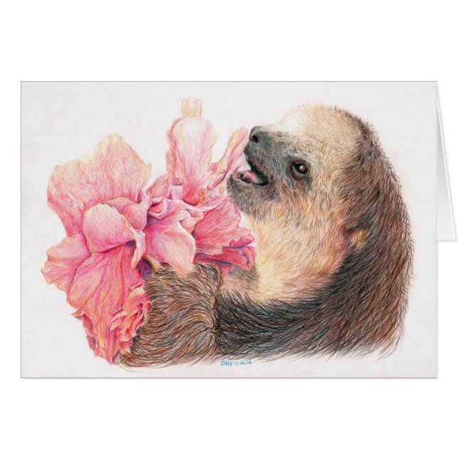 Sloth, der Hibiskus-Blume isst (Vorderseite (Horizontal))