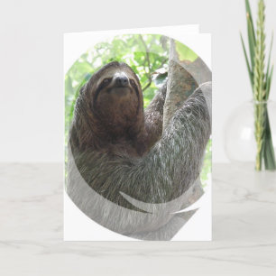 Sloth Foto Design Grußkarte Karte