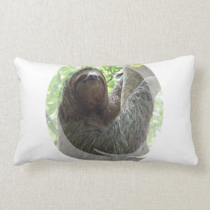 Sloth-Foto-Entwurfs-Kissen Lendenkissen