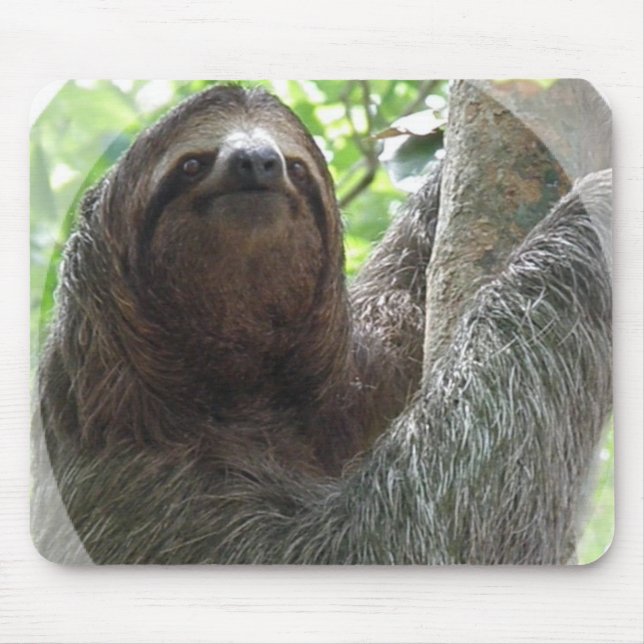 Sloth-Foto-Entwurfs-Mausunterlage Mousepad (Vorne)