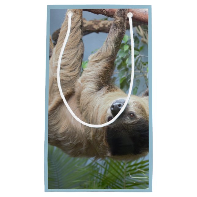 Sloth-Foto-Geschenk-Tasche Kleine Geschenktüte (Vorderseite)