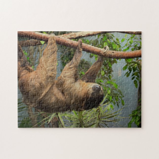 Sloth-Foto-Puzzlespiel Puzzle (Horizontal)