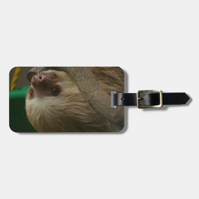 Sloth Gepäckanhänger (Vorderseite horizontal)