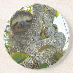Sloth Getränkeuntersetzer