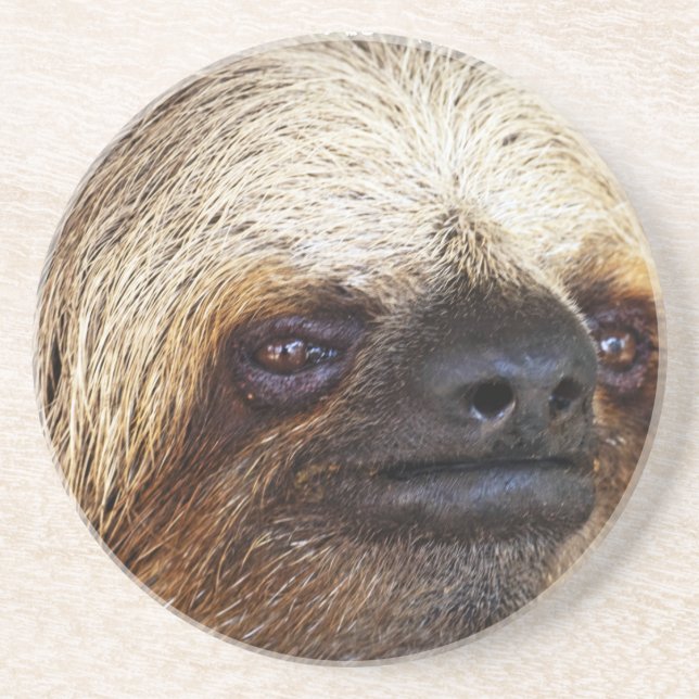 Sloth Getränkeuntersetzer (Vorne)