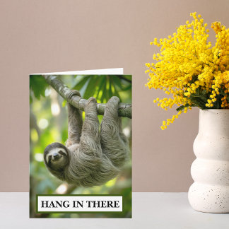 Sloth Hang In There Encouragement Karte