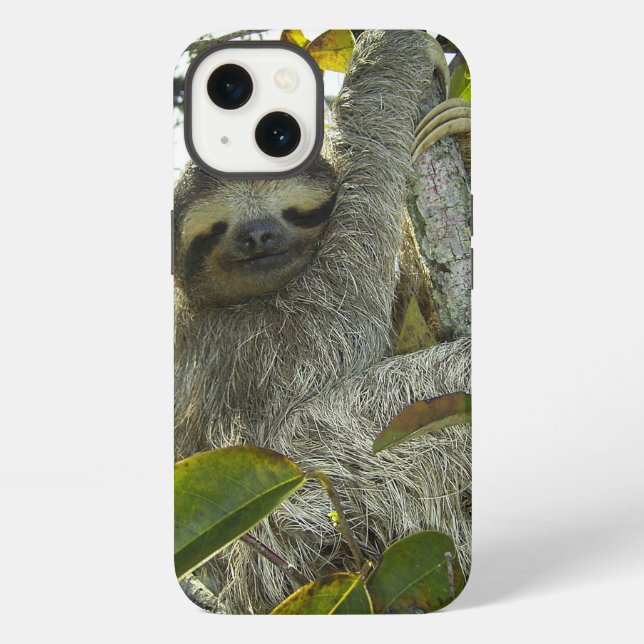 Sloth iPhone Hülle (Rückseite)