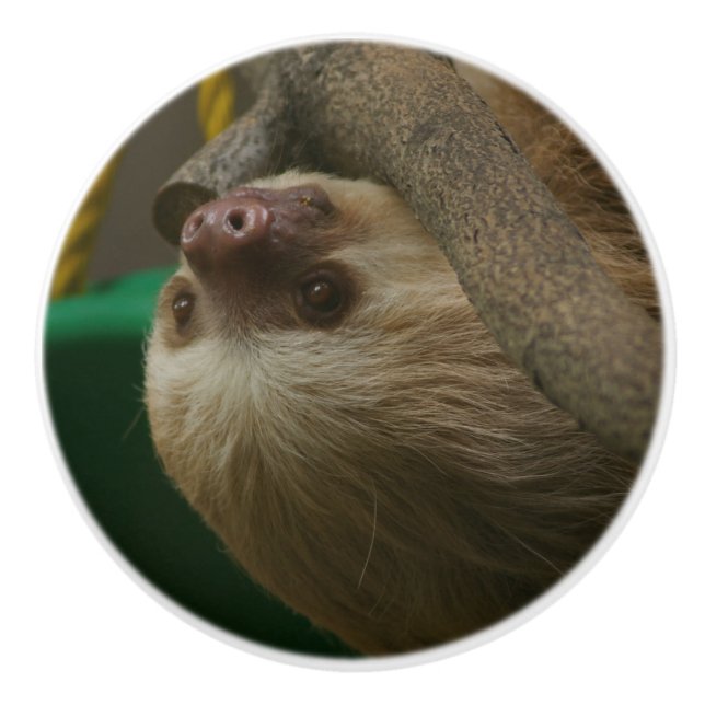 Sloth Keramikknauf (Vorderseite)