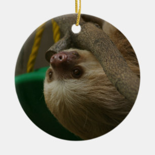 Sloth Keramikornament
