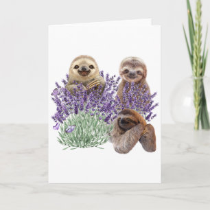 Sloth Lavender Shirt Womens Sloth Bekleidungsmutte Dankeskarte