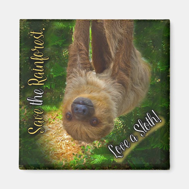 Sloth Magnet (Vorne)