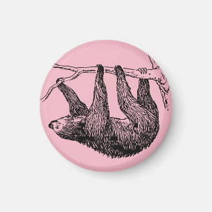 Sloth Magnet
