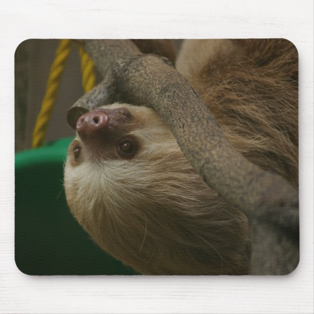 Sloth Mousepad (Vorne)